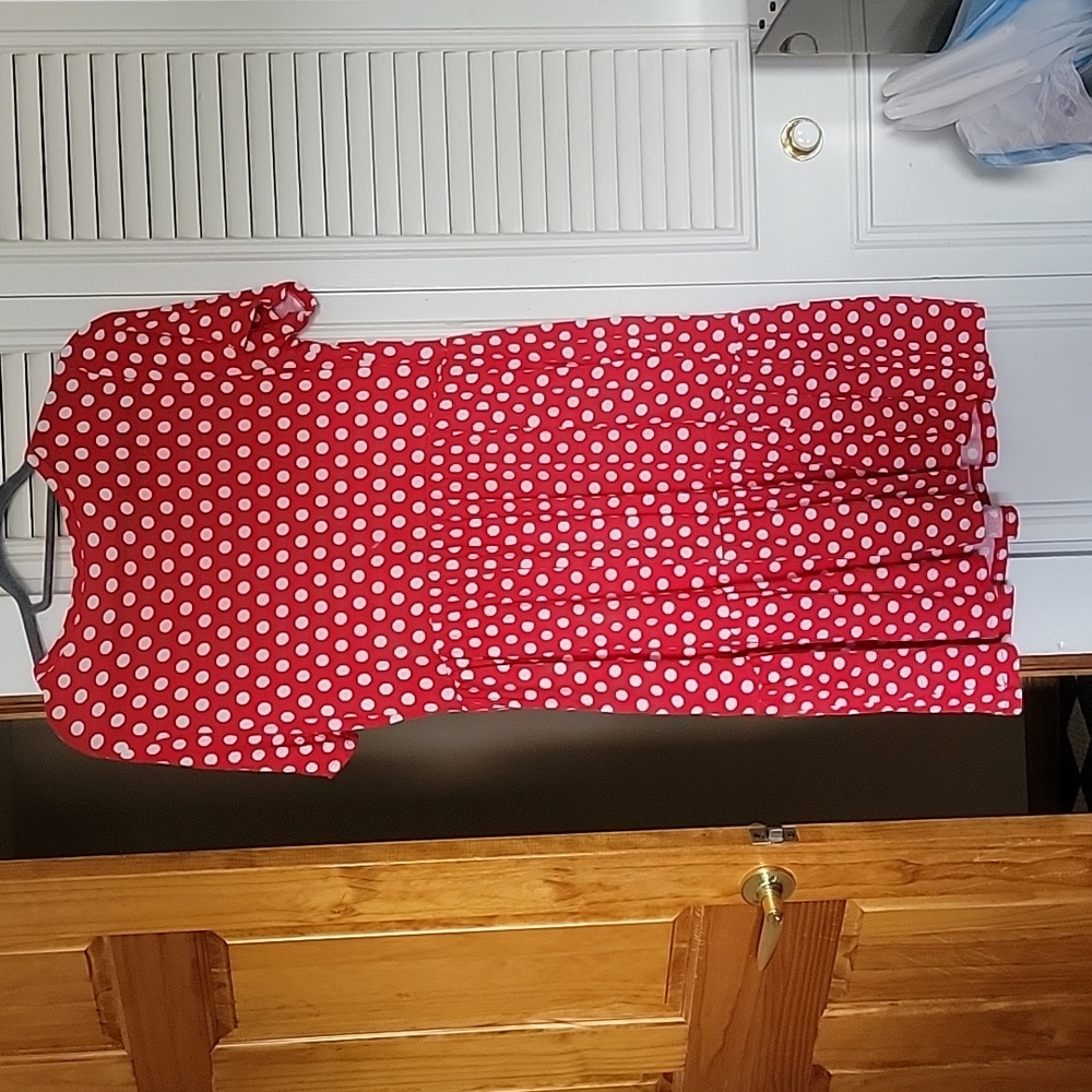 Polka Dot Mini Dress - Picture 15 of 17